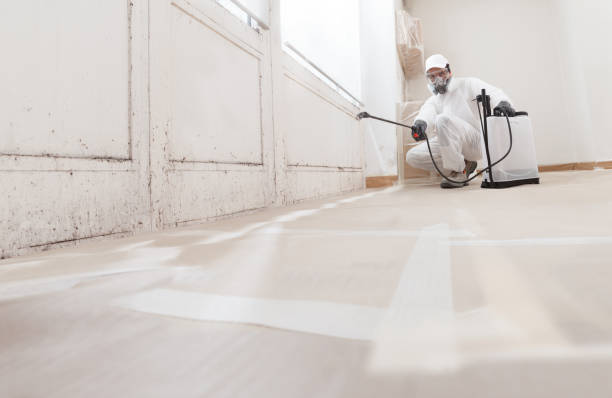 24/7 Emergency Black Mold Removal experts in Newfoundland, NJ