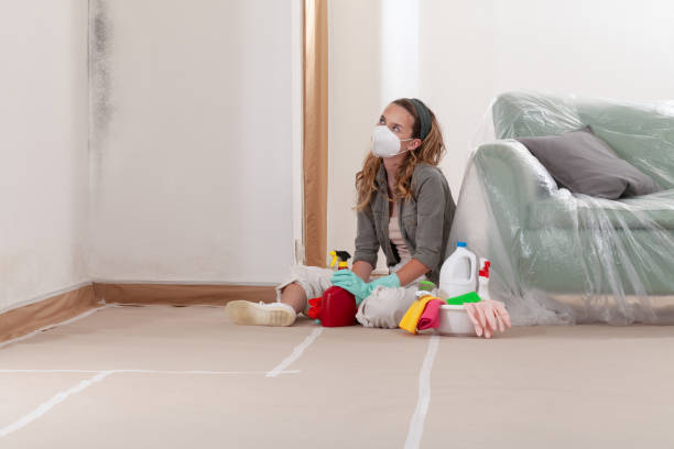Reliable Black Mold Removal contractor in Newfoundland, NJ by WQB Mold Removal